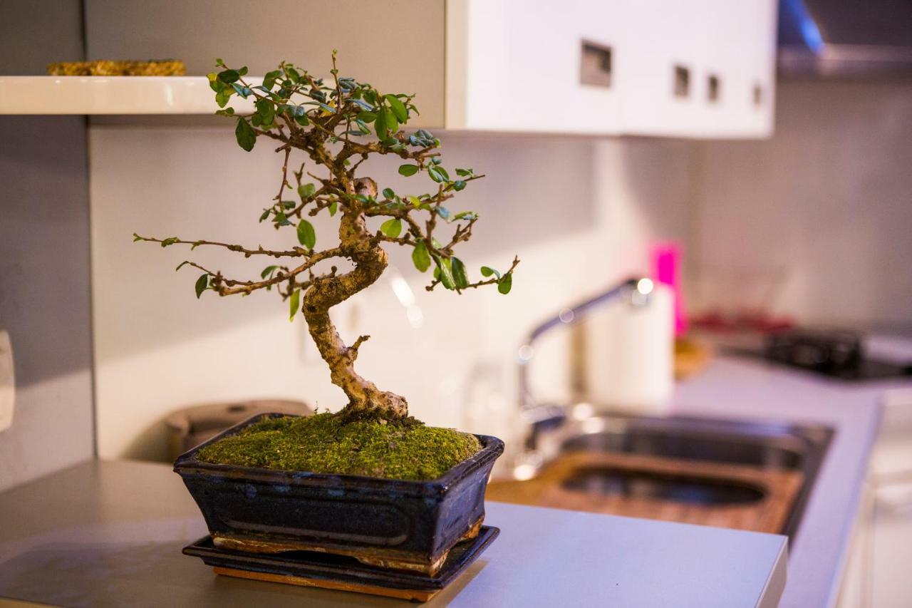 Luxurious Apartment With Private Garden 斯普利特 外观 照片